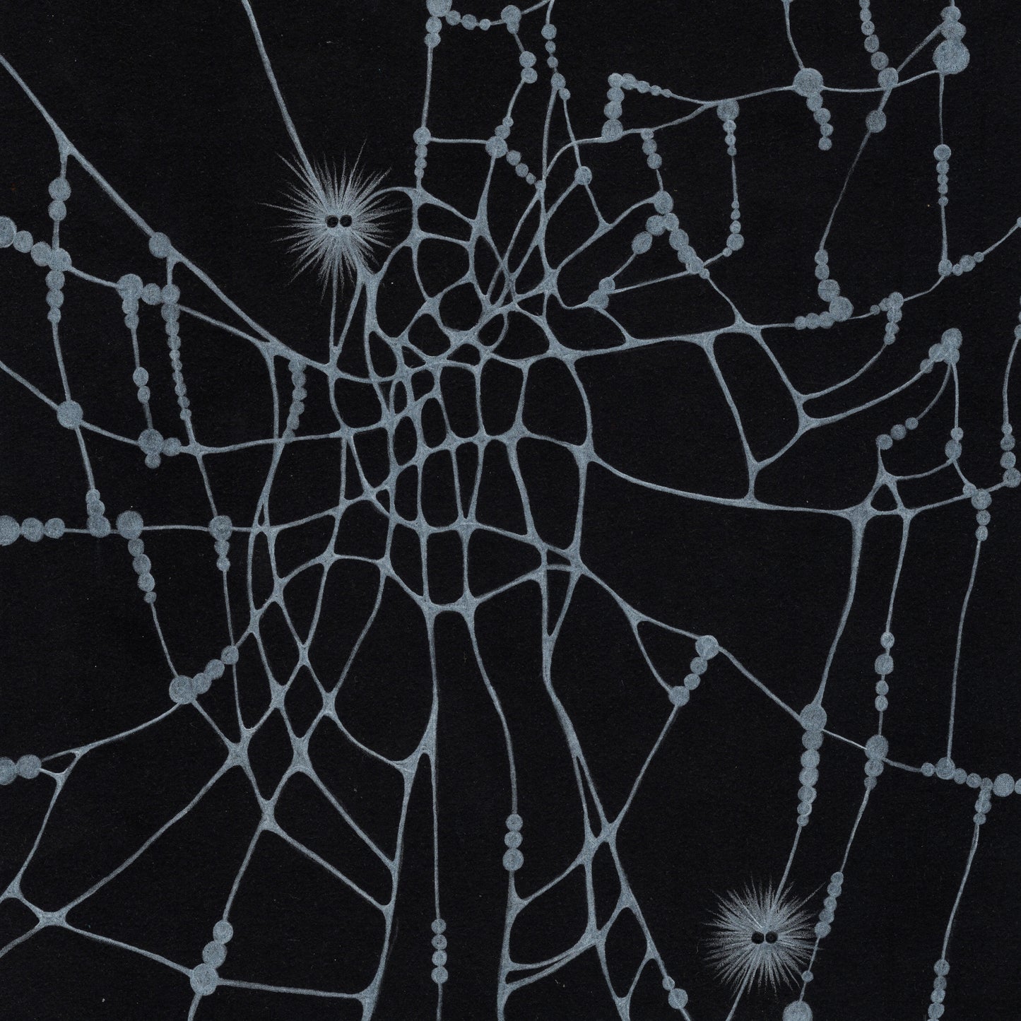 Dread Spectre Council - Spiderette [Digital Single]